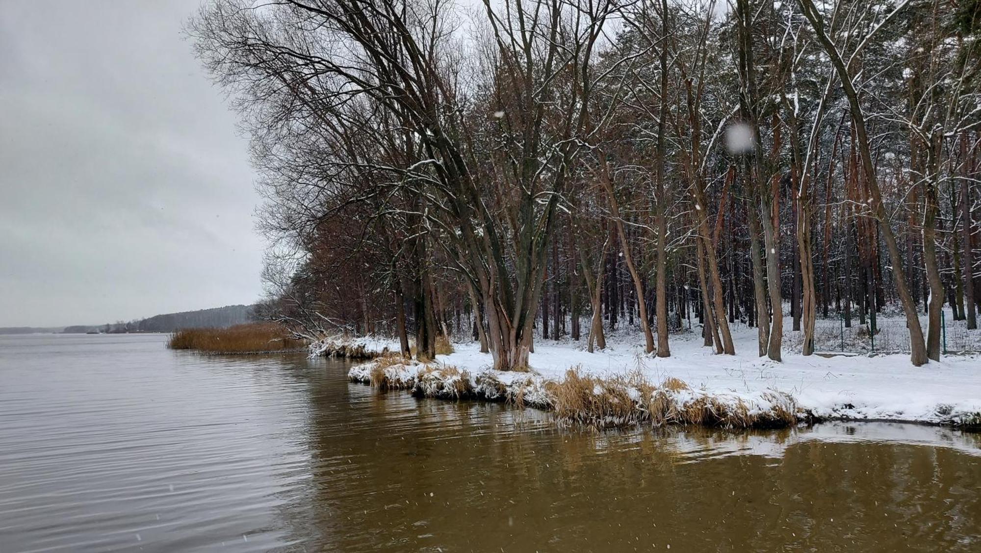 Jelonek Swolszewice Duze